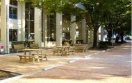 図書館横の緑のアプローチ