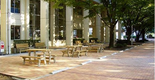 図書館横の緑のアプローチ